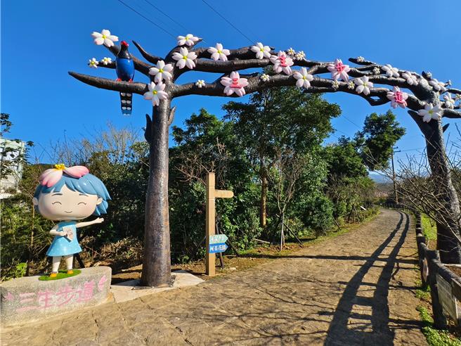 三芝樱花季将在3月登场。（图／三芝区公所）