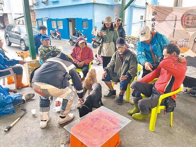 台東縣蘭嶼鄉朗島部落族人不堪農作物飽受野豬肆虐，自行組織獵豬隊伍上山捉捕，以遏止野豬數量。（朗島社區發展協會理事長施孝榮提供／蕭嘉蕙台東傳真）