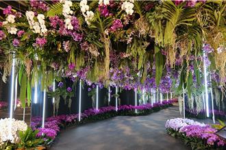 國際蘭展3／8台南登場 免費接駁、身障專車資訊出爐