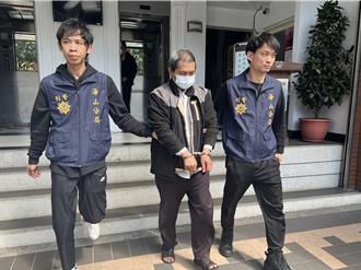 板橋7貓屍案 犯嫌否認殺害！堅稱丟棄時還活著