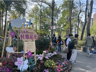 台北杜鵑花季登場 21萬株杜鵑花綻放大安森林公園