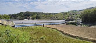 逾期恐受罰！苗栗畜牧場資源化5％期限將至