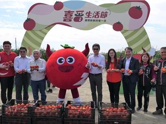 雲林牛番茄盛會！「喜番生活節」千人搶採