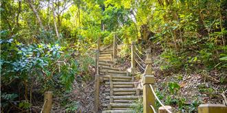 妇人潭子新田步道健行 腿部惨遭米克斯犬咬出5个洞