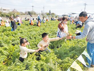 雲林 東勢胡蘿蔔日 近2萬人同樂