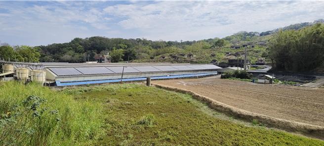 苗栗县府政环保局多年持续推动辅导各畜牧场推动畜牧资源源化。（谢明俊摄）