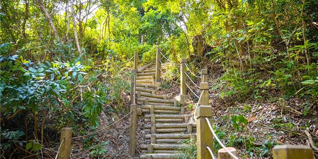 新田登山步道。（台中市政府提供／李京昇台中傳真）