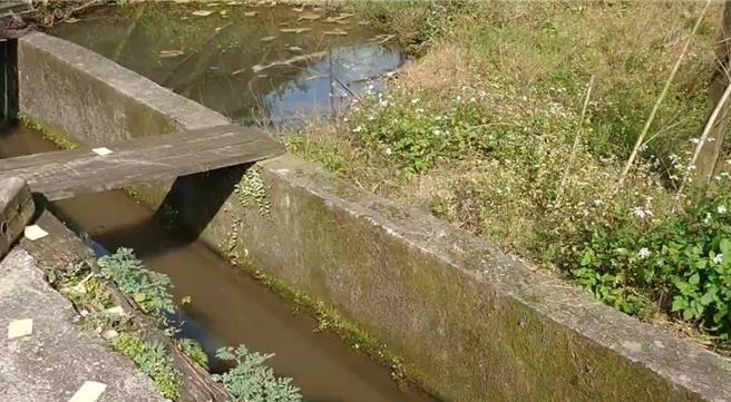 事发地点现况。（金山警分局提供）