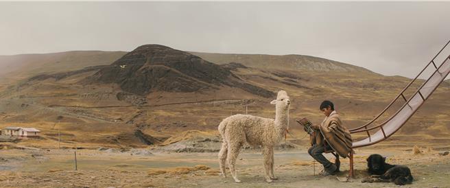 秘魯電影《我的朋友草泥馬》獲沖繩環太平洋國際電影節最佳影片。（沖繩環太電影節提供）