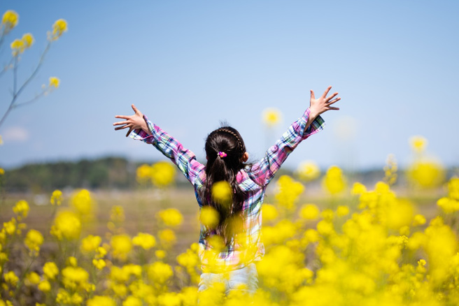 春天來臨，生肖屬龍、馬、猴和豬的人的好運也快要來了。春天來臨好運也上門 4生肖驚喜連連