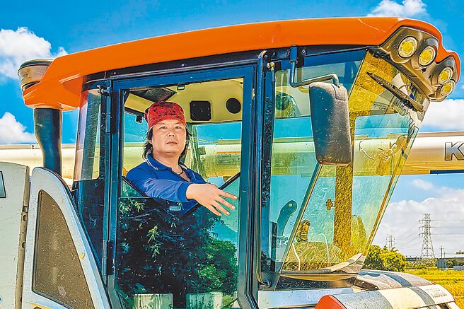 湖口鄉青農葉信鵬試種桃園改良場的「桃園5號」新品種，他指桃5有早熟優點，但抗病性不好，傳統老農接受度不高。（羅浚濱攝）