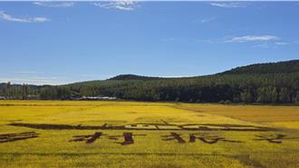 飯碗之戰！陸嚴防「種子機密」外洩 列首要國安保障目標