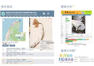 台灣野生植物資料庫全面升級 收錄逾6000個物種