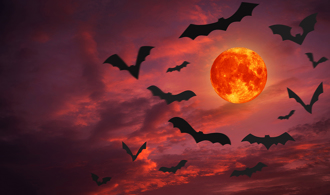 3月血月＋水逆 5星座、1生肖小心