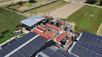 養豬場沼氣成「綠金」 高雄首家民營牧場獲綠電憑證