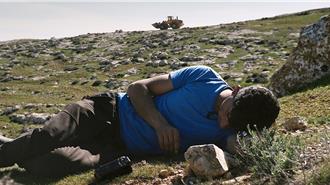 以巴共同執導！《你的國，我的家》奪奧斯卡最佳紀錄長片