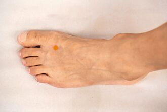 「驚蟄」節氣養生 提升身體免疫力