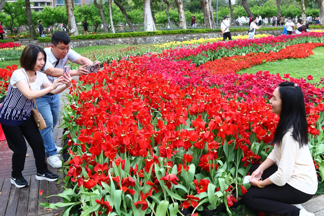 连假期间天气晴朗，民眾出游赏花，周一延续好天气，周二起变天。（邓博仁摄）