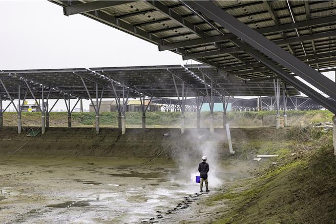 台泥嘉谦绿能表示，2月底已在嘉义渔光一期F区91-94及103号池，喷洒石灰粉以杀菌并调节酸碱值，为3月中投放鱼苗准备。（图／台泥绿能提供）