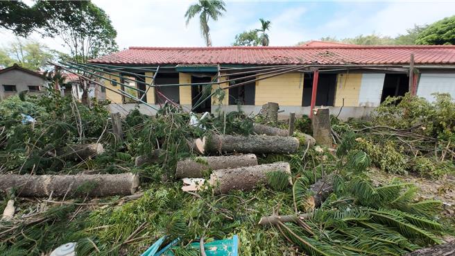 居民拍照發文痛斥「中興新村砍樹再起，要打電話給國發會抗議」！（民眾提供／楊靜茹南投傳真）