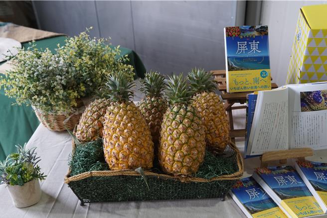 屏東鳳梨受去年連續3個颱風影響，產量約下滑1成。（羅琦文攝）