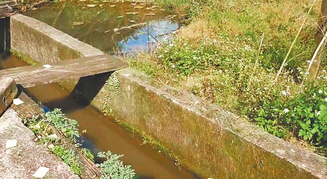 鄭姓釣客2月被發現倒臥在新北市金山區水溝身亡，鄭男哥哥指弟弟的脖子有勒痕瘀傷，且頭頂有撕裂傷，懷疑有他殺嫌疑。圖為案發現場。（金山警分局提供／張鎧乙新北傳真）