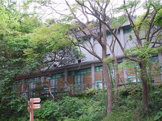 海納百川》文化保存與無障礙環境可以並存——從惠濟宮電梯談起（陳擷安）