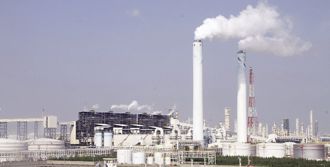 東聯、中纖去年EPS 0.02元 將不配發股利 