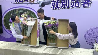 农试所助外销洋桔梗「包装躺平」运输效益提升逾3成