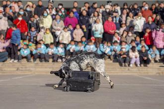 堵川普嘴巴 陸發布《中國的芬太尼類物質管控》白皮書