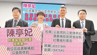 下屆台南市長初選 綠營內鬥加劇