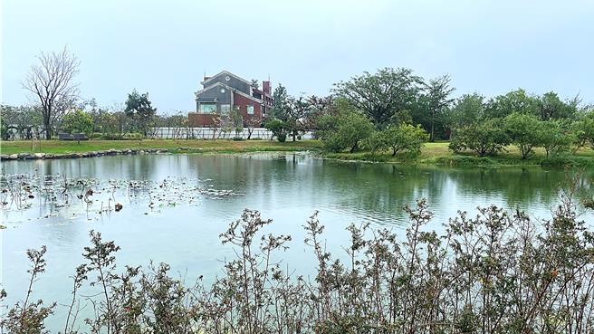 台东森林公园莲花池生态復育有成，有望作为原生种菊池氏细鲫保种池。（萧嘉蕙摄）