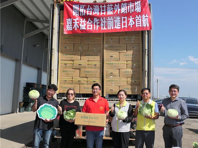 日本受氣候影響蔬菜收成不佳，菜價高居不下，農糧署4日在雲林縣元長鄉舉辦外銷裝櫃儀式，將陸續外銷86櫃1548公噸高麗菜至日本等國家。（張朝欣攝）