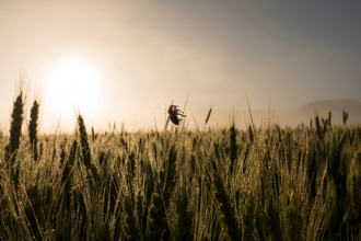 今「驚蟄」！12生肖運勢曝 屬雞事業無往不利
