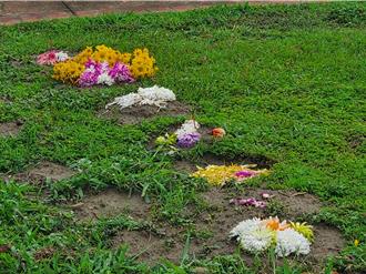 「想念妈妈的时候就摸摸肚脐」 云林斗六市树葬园区全县最优