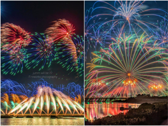 嘉義八掌溪畔波斯花海3／8登場 白天賞花、晚間高空焰火秀絢爛