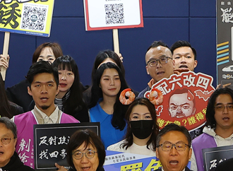 國民黨控違法募款曝光她身分 罷團正妹幹部反擊：擬告個資法、誹謗