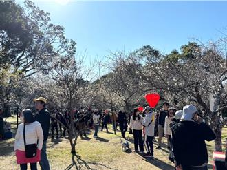 遊桃園角板山不再「一位難尋」 介壽國中停車場4月完工