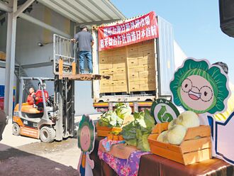 云林 高丽菜销日 农民收益增