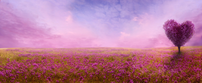 属龙的人农历2月桃花朵朵开，近期很容易遇见梦中情人。（示意图：Shutterstock／达志）