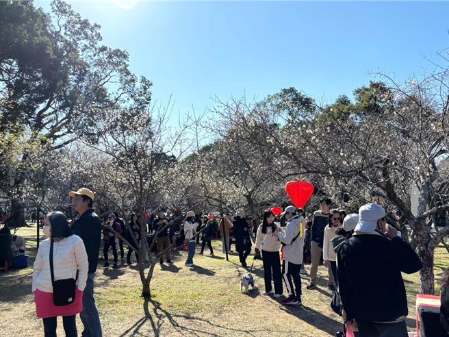 桃园角板山观光资源丰富，有北台最大梅园，每年花季都吸引眾多游客前往赏花。（风管处提供／蔡依珍桃园传真）