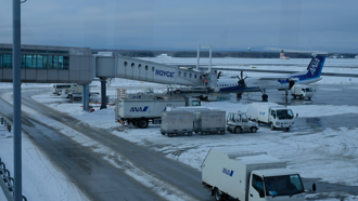 2頭小鹿亂入 日新千歲機場跑道暫關閉