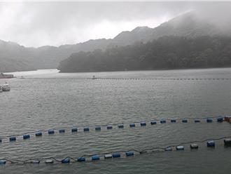 春雨挹注3天增790萬噸水 石門水庫蓄水率有望達90％