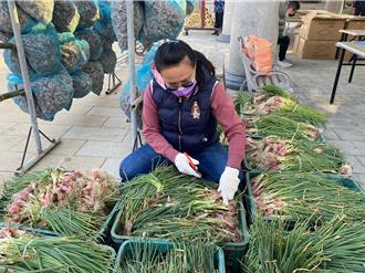 台南北門紅蔥頭小旅行報名開跑 限量200名 體驗蔥辮、紅蔥染帽DIY