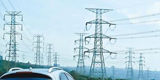 中興電 2024營收獲利攀峰