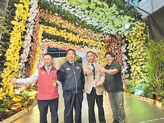 台南 台灣國際蘭展開箱 15萬株綻放