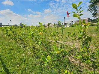 三鶯水資源回收中心再提升 預計今年3月底完工