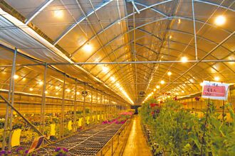 彰縣補助節能燈泡 700農民受惠