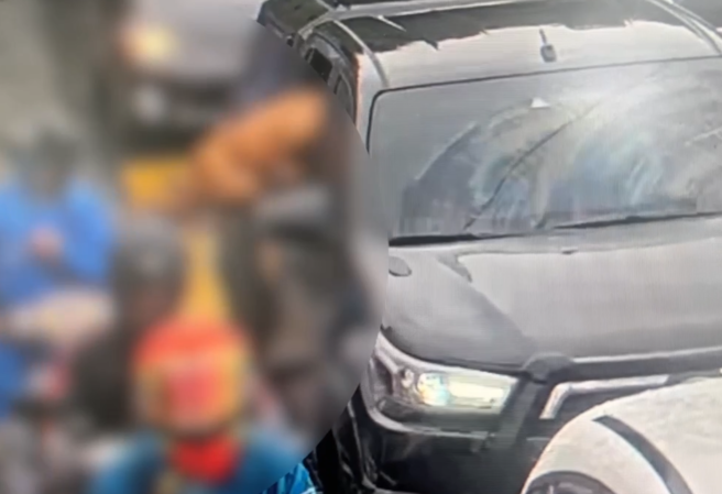 比特犬突從車窗跳出，瘋咬等紅燈騎士。（警方提供／蕭宥彤翻攝）