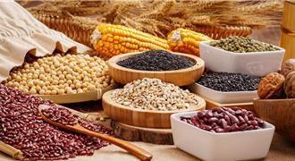 陸媒分析兩會數據   首提1.4兆斤糧食產量新目標依據與實現